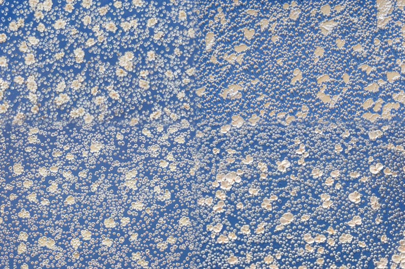 Nucleation