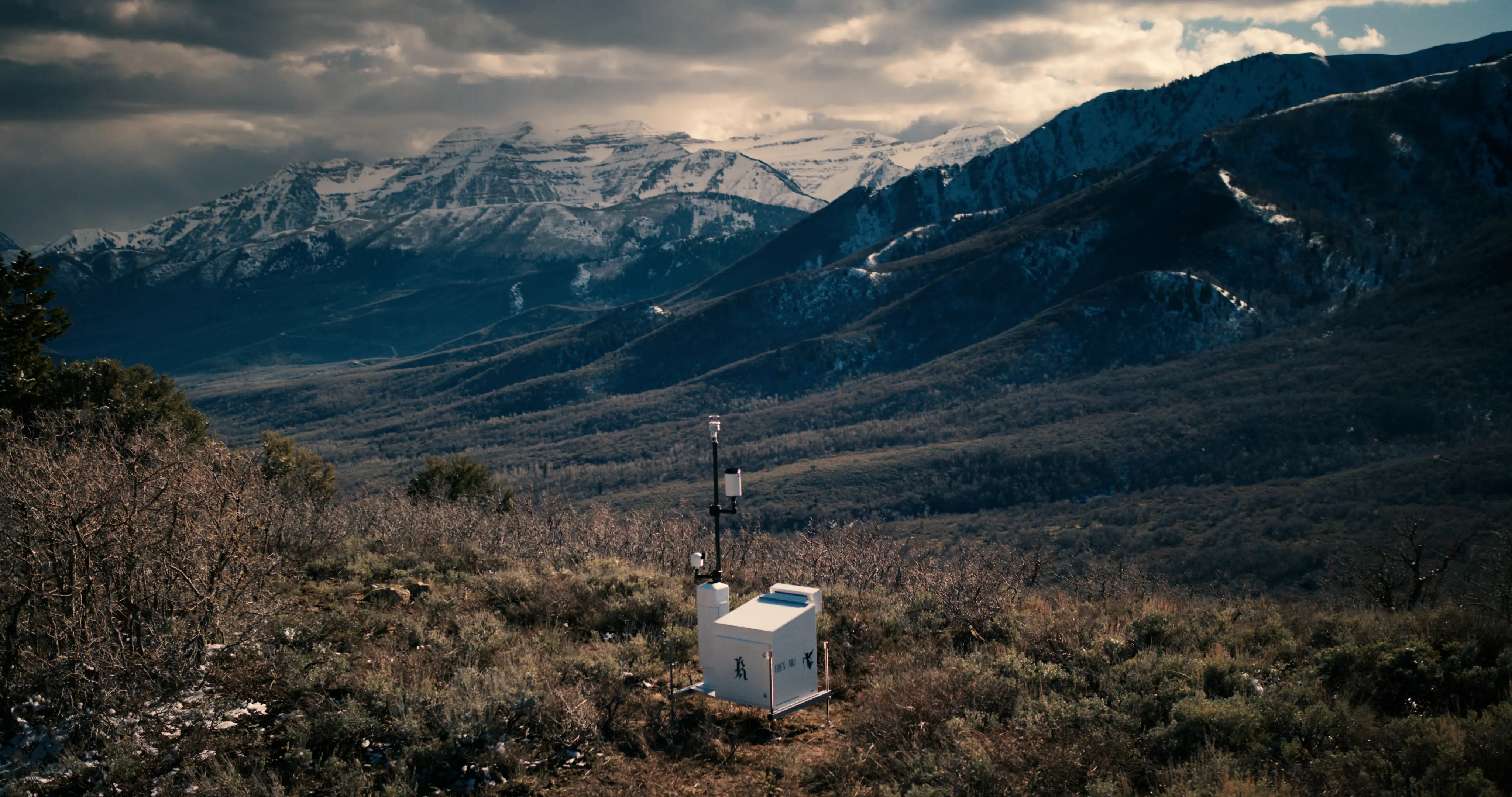 Eden in a winter landscape