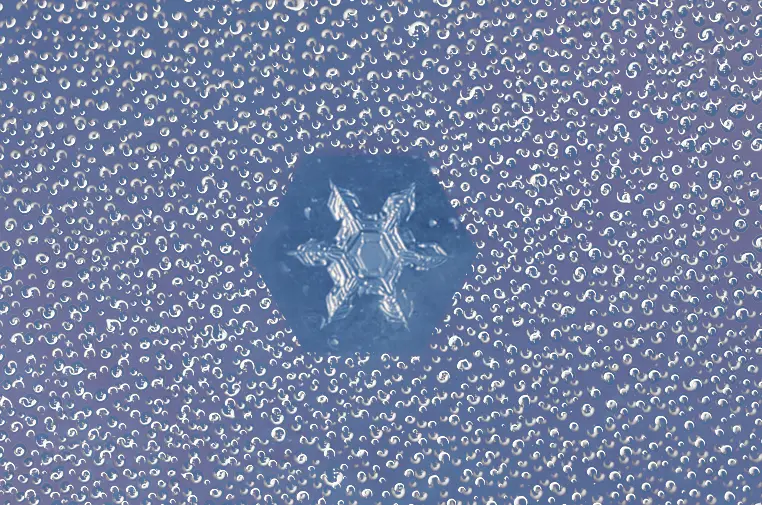 Cloud Microphysics